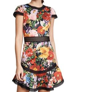 Alice and Olivia Dress-worn 1 time